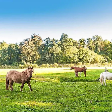 Le Clos Des Vignes 5*