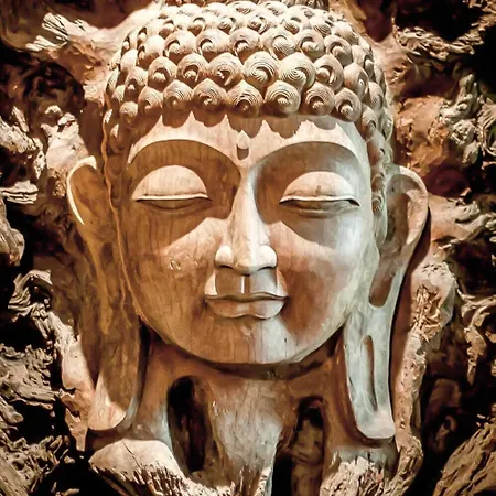 Le Clos Des Vignes 5* Neuville-Bosc