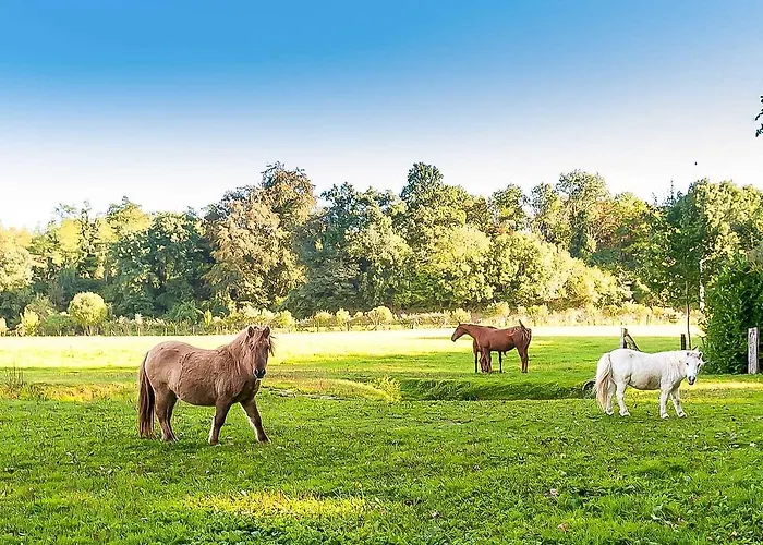 Le Clos Des Vignes 5*